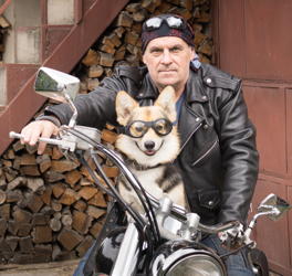 senior male sitting on a Harley with his dog wearing goggles and on the seat with him